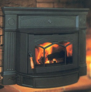 black cast iron fireplace insert with